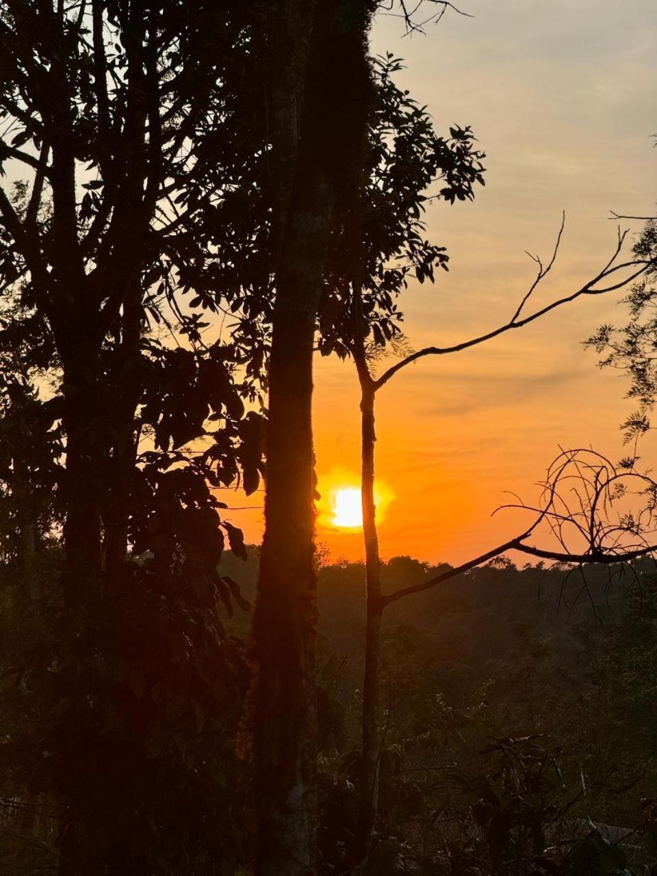 Shrenya Orchidz-Coorg Nature Stay Madikeri Exterior foto