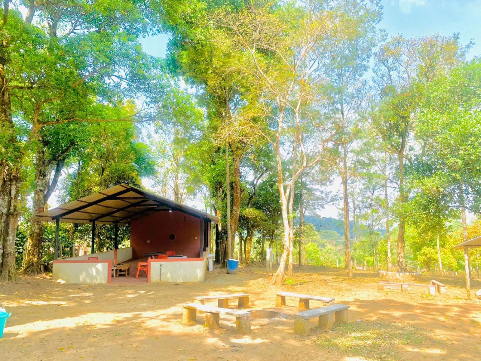 Shrenya Orchidz-Coorg Nature Stay Madikeri Exterior foto